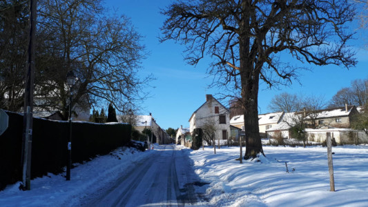 Rue calvin sous la neige